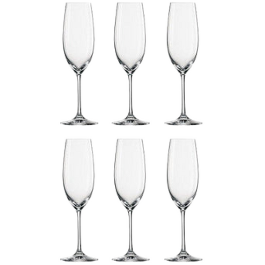 Schott Zwiesel Diva Champagne Wine Glass (Set of 6)